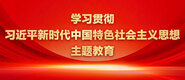 日逼穴AV网学习贯彻习近平新时代中国特色社会主义思想主题教育_fororder_ad-371X160(2)